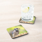 Dessous-de-verre Jay bleu avec arachide (Côté Droit)