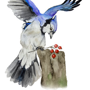 Dessous-de-verre Jay bleu d'oiseau de la forêt