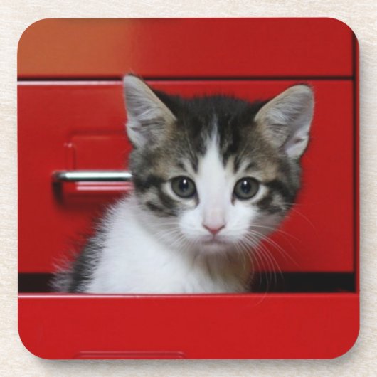 Dessous-de-verre Jeter un coup d'oeil de chaton (Devant)