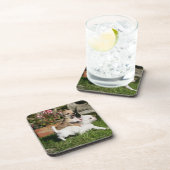 Dessous-de-verre Jeu de chiot de chiwawa (Côté Droit)