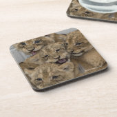 Dessous-de-verre Jeu de CUB de guépard (Côté gauche)