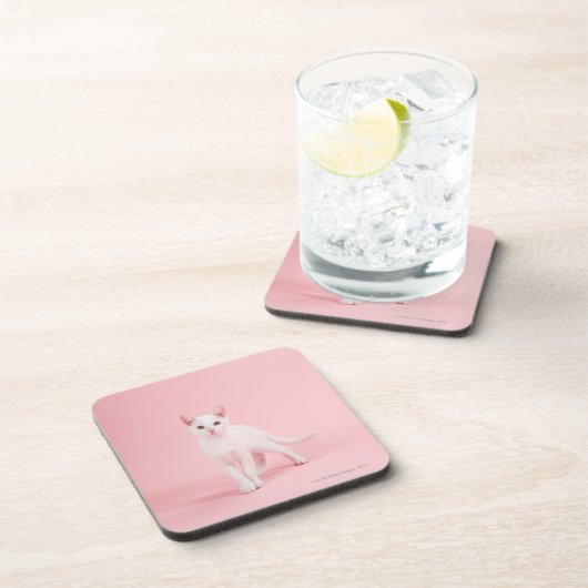 Dessous-de-verre Jeune chat blanc (Côté Droit)