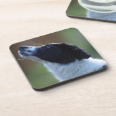 Dessous-de-verre jeune chiot border collie (Côté gauche)