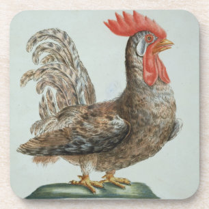 Dessous-de-verre Jeune coq nain, c.1767-76 (gravure colorée par