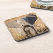 Dessous-de-verre Jeune éléphant de savane (Côté gauche)