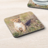 Dessous-de-verre Jeune lion (Côté gauche)