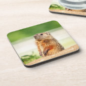 Dessous-de-verre Jeune marmotte (Côté gauche)