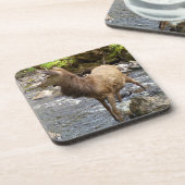 Dessous-de-verre Jeune Red Deer sur la rivière Plastique dur 6 ense (Côté gauche)