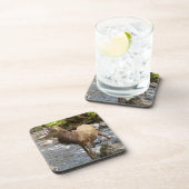 Dessous-de-verre Jeune Red Deer sur la rivière Plastique dur 6 ense (Côté Droit)