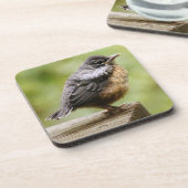 Dessous-de-verre Jeune Robin (Côté gauche)