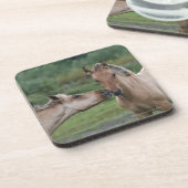 Dessous-de-verre Jeunes chevaux de Henson se rencontrant (Côté gauche)