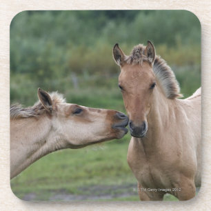 Dessous-de-verre Jeunes chevaux de Henson se rencontrant