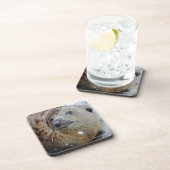 Dessous-de-verre Joint gris sur la glace (Côté Droit)