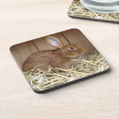 Dessous-de-verre Joli lapin Brown en foin frais (Côté gauche)