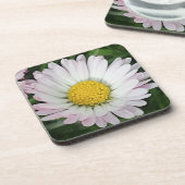 Dessous-de-verre Jolie marguerite (Côté gauche)