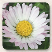 Dessous-de-verre Jolie marguerite (Devant)