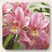Dessous-de-verre Jolie Orchidées rose Cymbidium Floral (Devant)