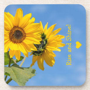 Dessous-de-verre Jolis lever et briller tournesols Télécharger la p