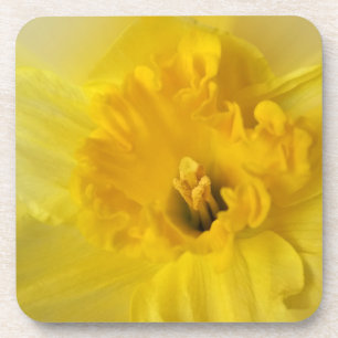 Dessous-de-verre jonquille jaune