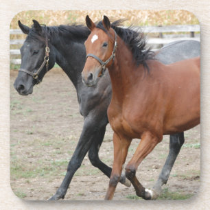Dessous-de-verre Jouer au cheval
