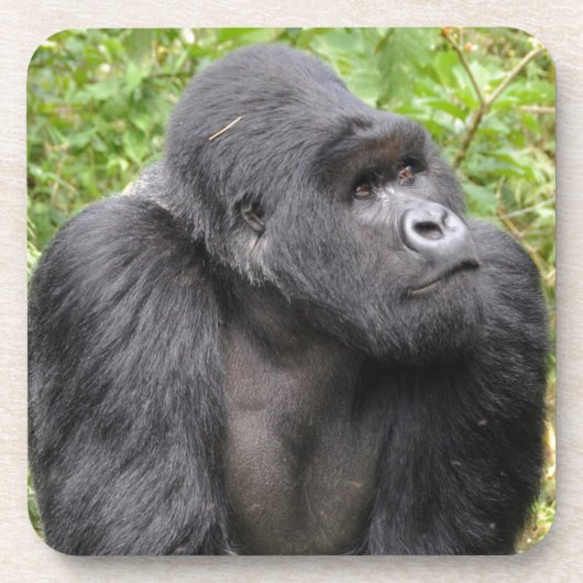 Dessous-de-verre Joyeux singe (Devant)