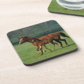 Dessous-de-verre Jument et poulain 3 de pur sang (Côté gauche)