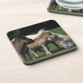 Dessous-de-verre Jument et poulains miniatures 3 (Côté gauche)