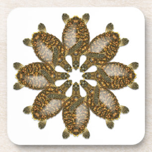 Dessous de verre kaléïdoscopiques de tortue de m