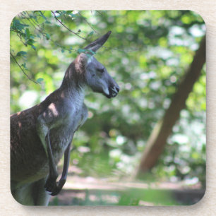 Dessous de verre Kangaroo