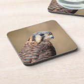 Dessous-de-verre Kestrel américain (Côté gauche)