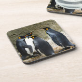 Dessous-de-verre King Penguin (Côté gauche)