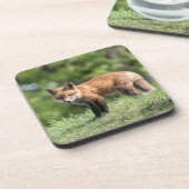 Dessous-de-verre Kit de Fox rouge (Côté gauche)