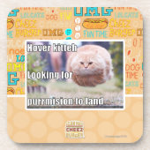 Dessous-de-verre Kitteh de vol plané (Devant)