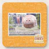 Dessous-de-verre Kitteh de vol plané (Devant)