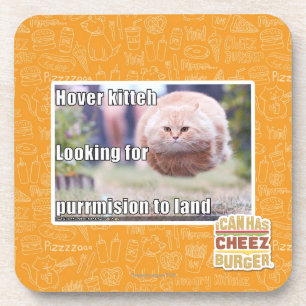 Dessous-de-verre Kitteh de vol plané