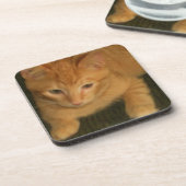 Dessous de verre Kitty - Ensemble de 6 (Côté gauche)