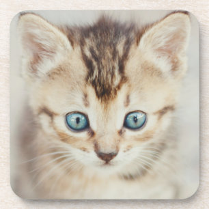 Dessous-de-verre Kitty observé par bleu