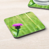 Dessous-de-verre Knapweed (Côté gauche)