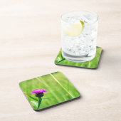Dessous-de-verre Knapweed (Côté Droit)