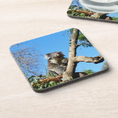 Dessous-de-verre Koala australienne attentive, (Côté gauche)