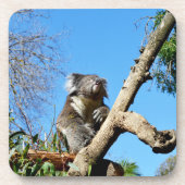 Dessous-de-verre Koala australienne attentive, (Devant)