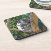 Dessous-de-verre Koala dormant dans l'arbre (Côté gauche)