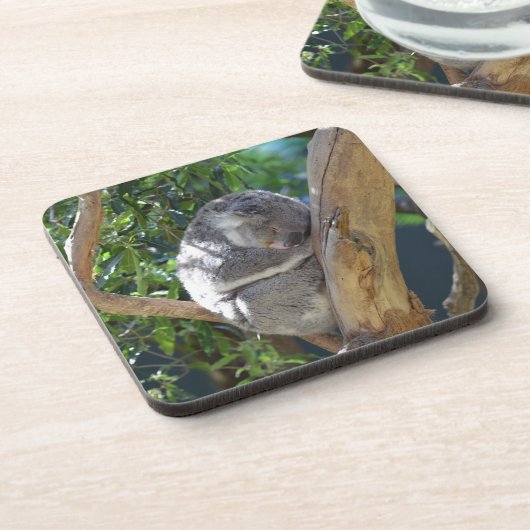 Dessous-de-verre Koala dormant dans l'arbre (Côté gauche)