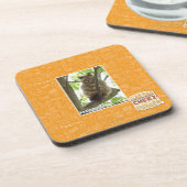 Dessous-de-verre Koala Kitteh (Côté gauche)