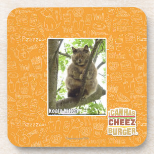 Dessous-de-verre Koala Kitteh