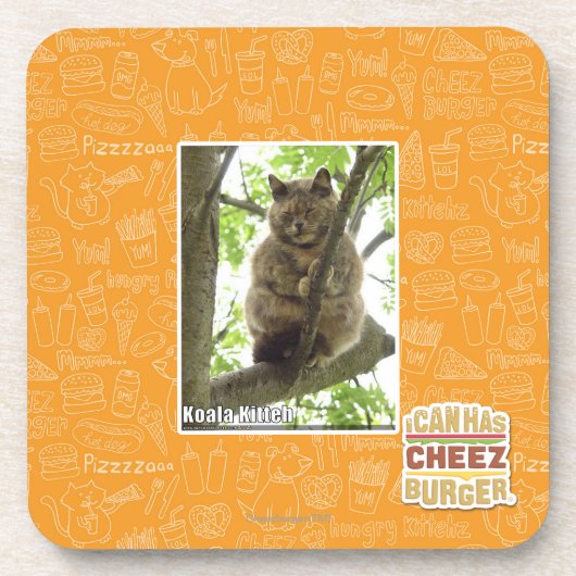 Dessous-de-verre Koala Kitteh (Devant)