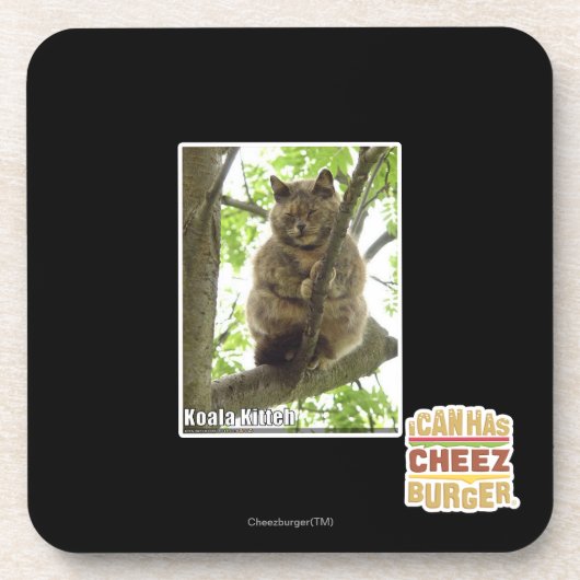 Dessous-de-verre Koala Kitteh (Devant)