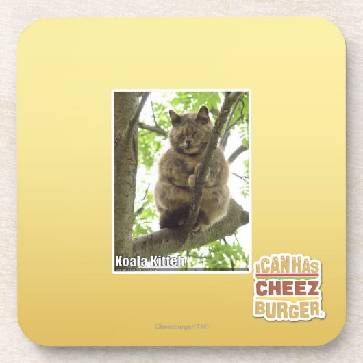 Dessous-de-verre Koala Kitteh (Devant)