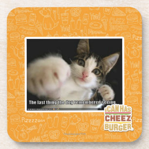 Dessous-de-verre La dernière chose