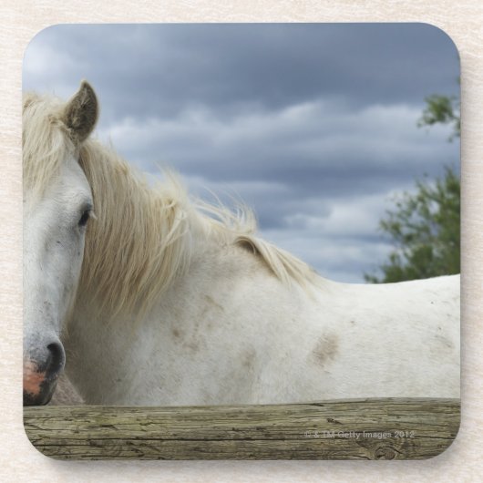 Dessous-de-verre La France (Devant)